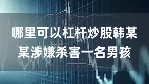 哪里可以杠杆炒股韩某某涉嫌杀害一名男孩