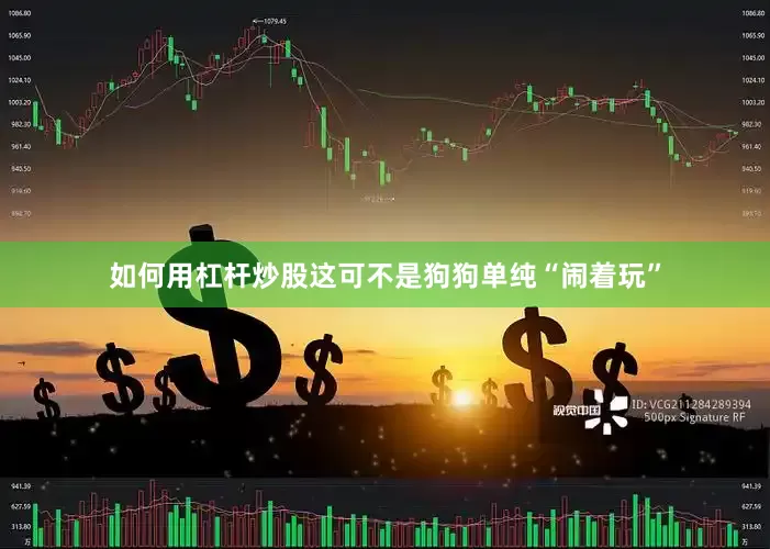 如何用杠杆炒股这可不是狗狗单纯“闹着玩”