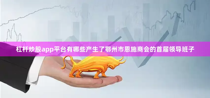 杠杆炒股app平台有哪些产生了鄂州市恩施商会的首届领导班子