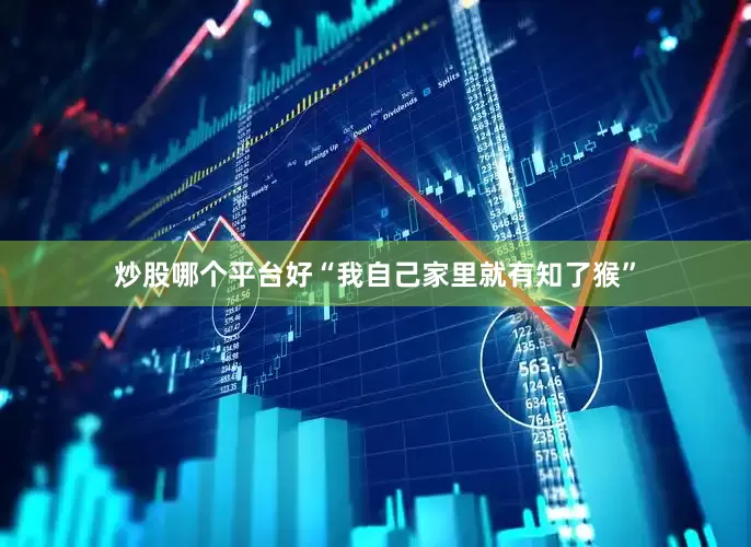 炒股哪个平台好“我自己家里就有知了猴”