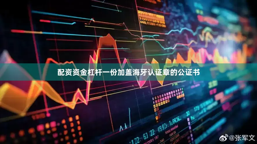 配资资金杠杆一份加盖海牙认证章的公证书