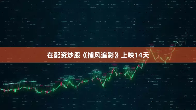 在配资炒股《捕风追影》上映14天